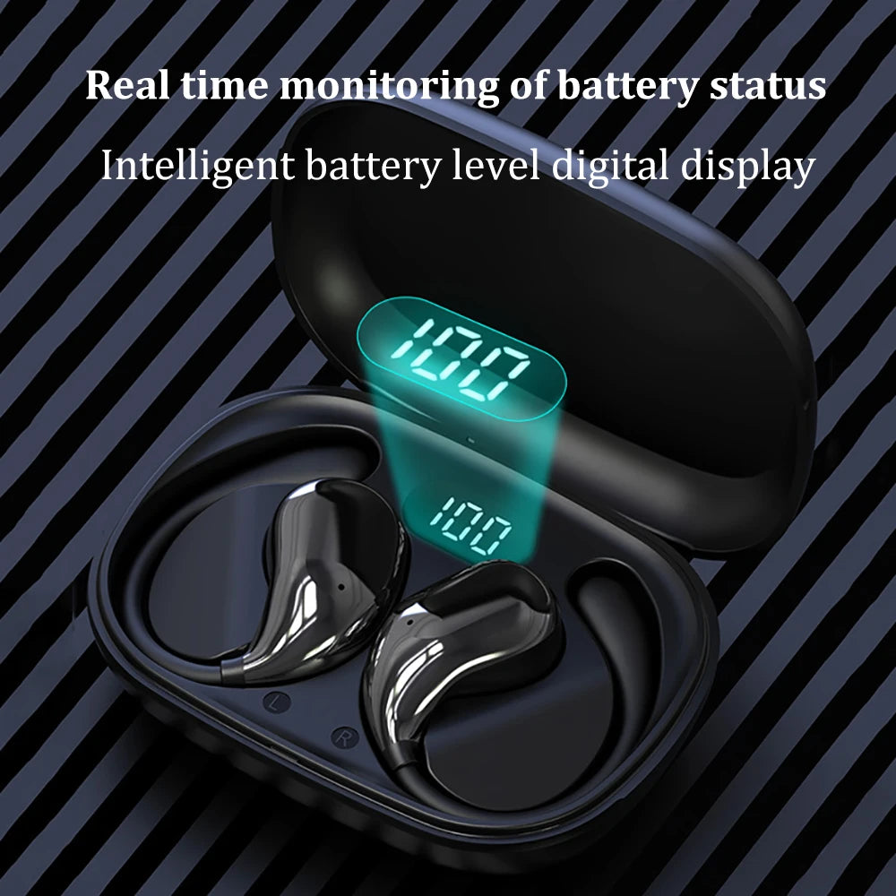 Ear Hook Earbuds