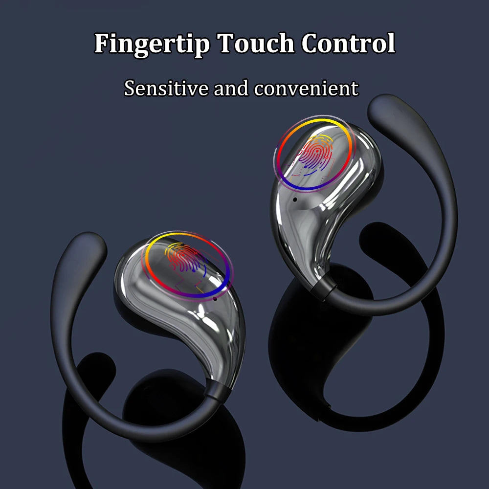 Ear Hook Earbuds