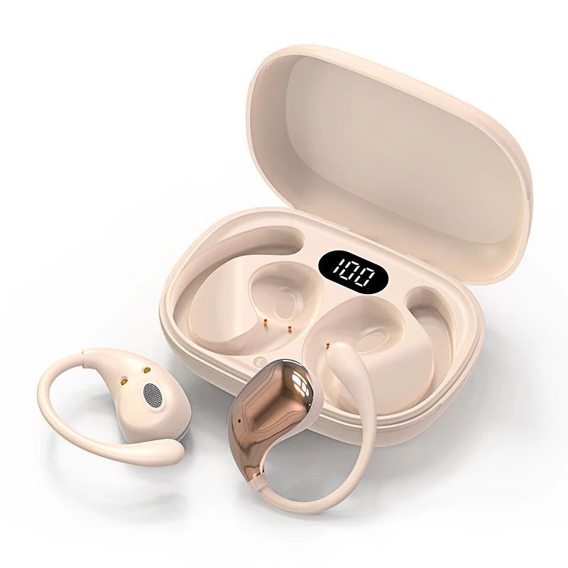 Ear Hook Earbuds
