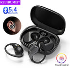 Ear Hook Earbuds