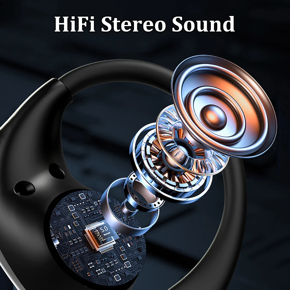 Ear Hook Earbuds